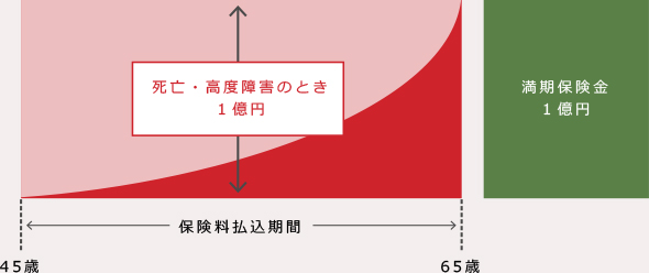 養老保険（無配当）の図