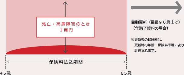 定期保険（無配当）の図