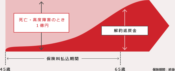 終身保険（無配当）の図