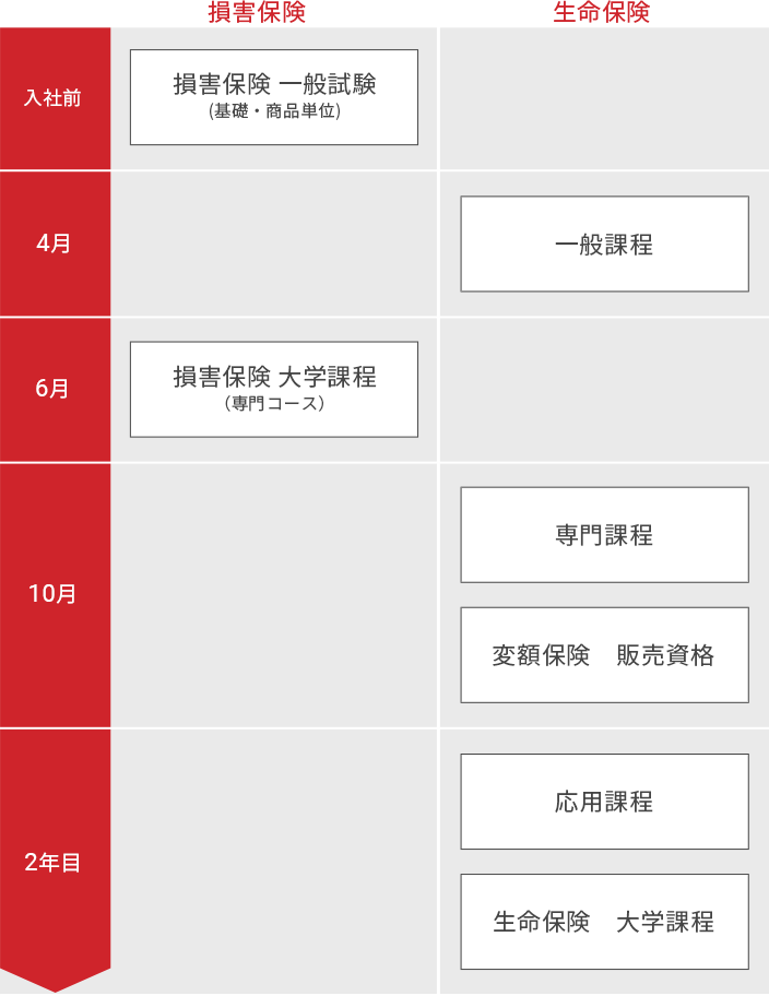 Mstの制度 採用 損害保険 生命保険代理店 エムエスティ保険サービス株式会社